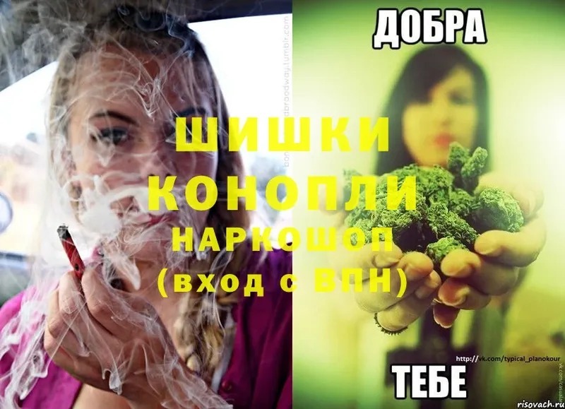 Каннабис OG Kush  Мичуринск 